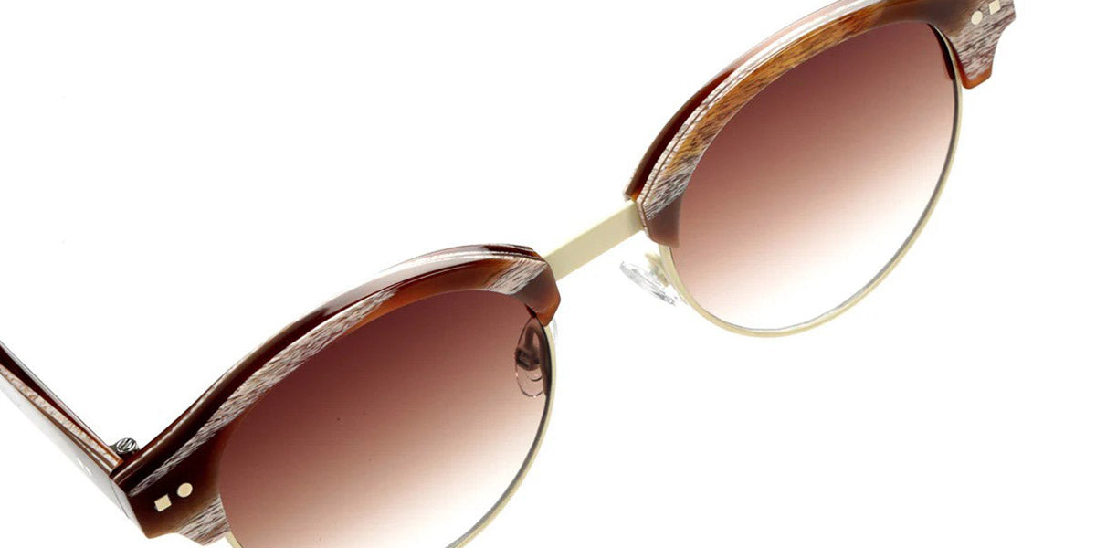 Sabine Be® Be Master Pantos Sun SB Be Master Pantos Sun 557 51 - Shiny Vintage Horn / Satin Ivory Sunglasses