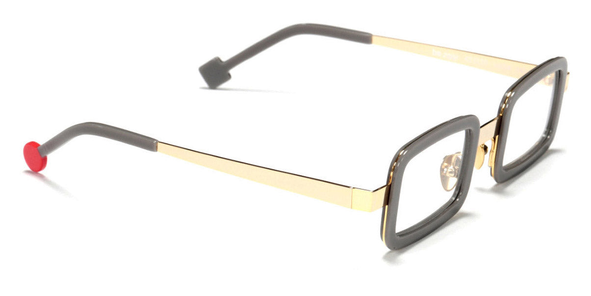 Sabine Be® Be Ziggy SB Be Ziggy 64-6 42 - Shiny Gray / Polished Pale Gold Eyeglasses