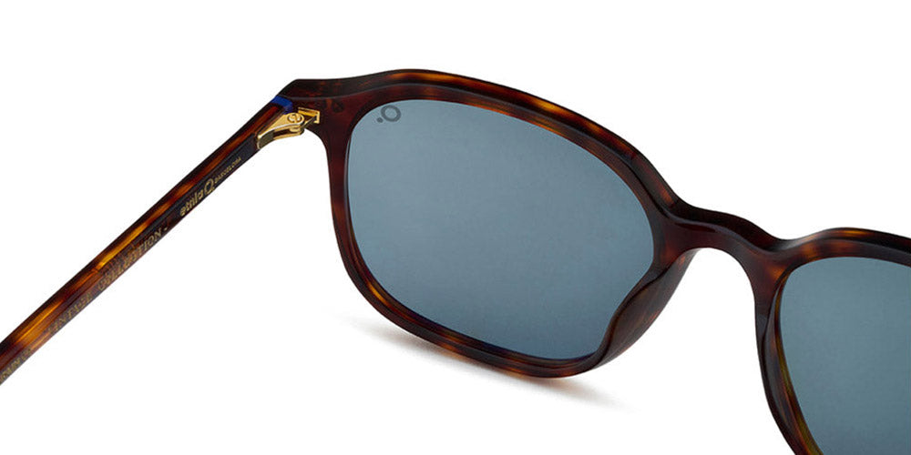 Etnia Barcelona® MONT RAS SUN 5 MONTRA 53S HV - HV Havana Sunglasses