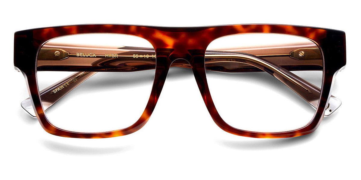 Etnia Barcelona® BELUGA 5 BELUGA 53O HVBR - HVBR Havana/Brown Eyeglasses